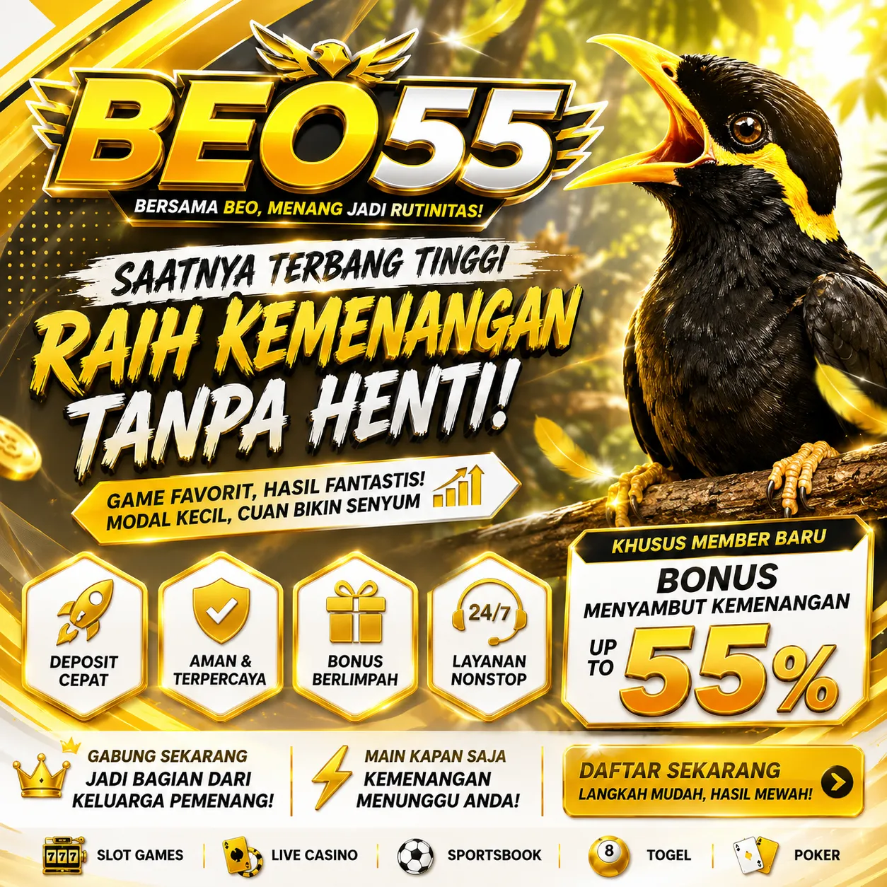 Beo55Banner